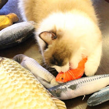 Gato jugando con un pez de peluche