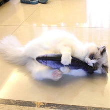 Gato jugando con un pez de peluche