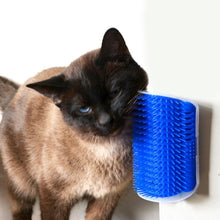 Cepillo masajeador Matt Cat