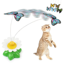Mariposa giratoria para gatos