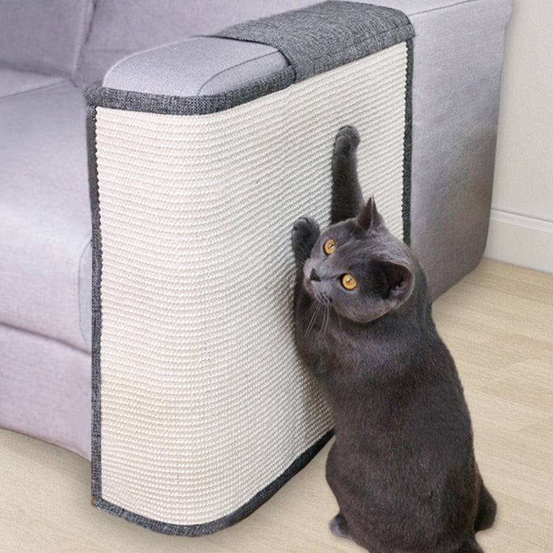 El protector de sofá para gatos que usa tu veterinario: cómo